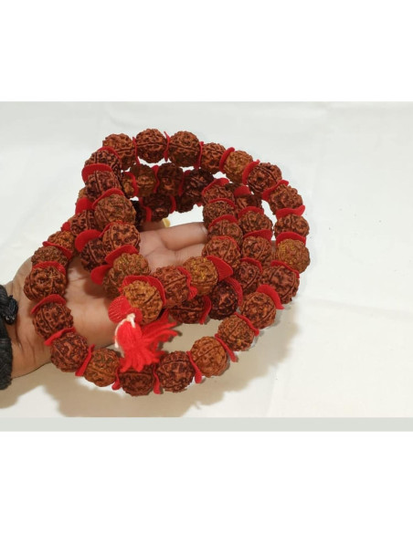 Mala de Rudraksha 5 Mukhi Grande 20mm Nepal 54+1 cuentas Mala de Rudraksha 5 Mukhi Grande 20mm Nepal 54+1 cuentas