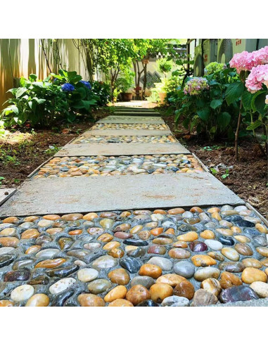 Piedras de Río Naturales 4.5 kg 2-3 Pulgadas para Jardín