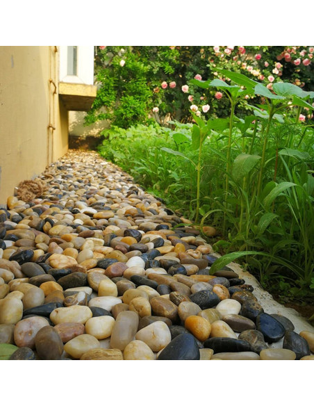 Piedras Decorativas Naturales YISZM 2-3cm Color Mezclado 2.27kg Piedras Decorativas Naturales YISZM 2-3cm Color Mezclado 2.27kg