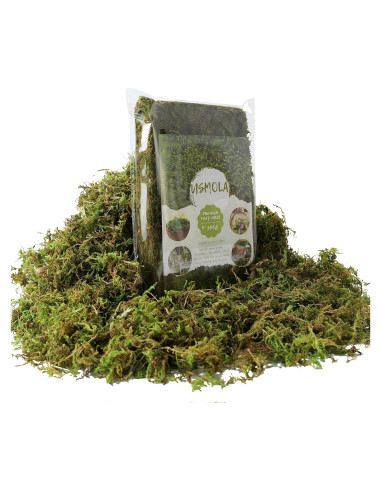 Musgo Falso USMOLA 4OZ Verde Fresco para Decoración y Manualidades