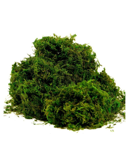 Musgo Artificial Preservado BYHER 225g Verde Fresco Decoración Musgo Artificial Preservado BYHER 225g Verde Fresco Decoración