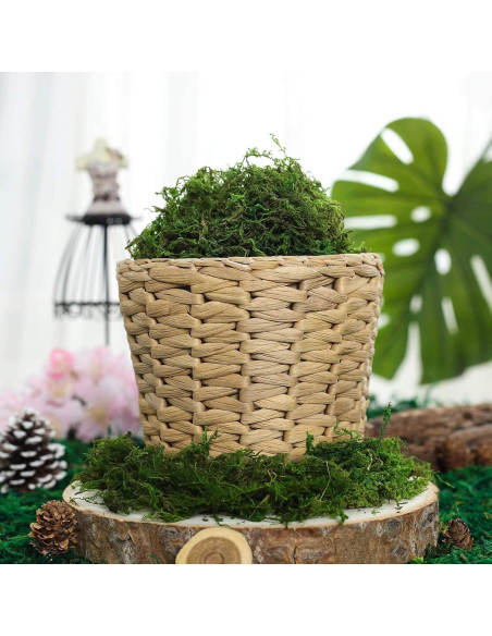 Musgo Artificial Preservado BYHER 225g Verde Fresco Decoración Musgo Artificial Preservado BYHER 225g Verde Fresco Decoración