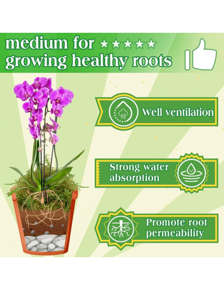 Musgo Verde Natural Halatool 170g para Plantas de Interior Musgo Verde Natural Halatool 170g para Plantas de Interior