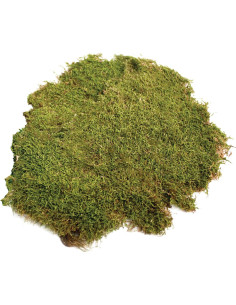 Musgo en Hoja Seco Natural 227g SuperMoss para Decoración 2