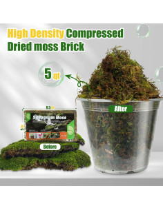 Musgo Sphagnum Seco Natural Doter 1 Paquete 5 qt para Plantas 2
