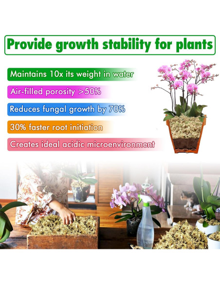Musgo Sphagnum Premium ZeeDix 85 g para Jardinería y Terrarios Musgo Sphagnum Premium ZeeDix 85 g para Jardinería y Terrarios