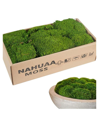 Musgo Preservado NAHUAA 0.20 m Verde para Decoración