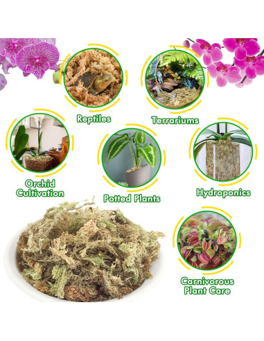 Musgo Sphagnum Premium ZeeDix 85 g para Jardinería y Terrarios