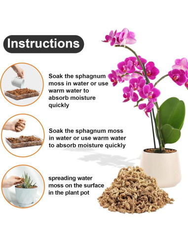 Musgo Sphagnum Seco Spagmoss-OR 113.4g para Plantas