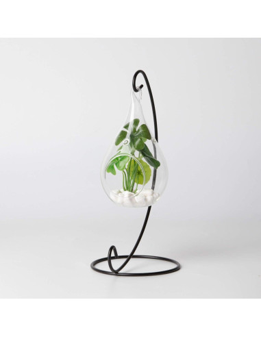 Terrario de Vidrio WGV en Forma de Gota 7.62x13.97 cm