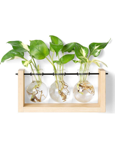 Terrario de Plantas Mkono con Soporte de Madera y 3 Jarrones