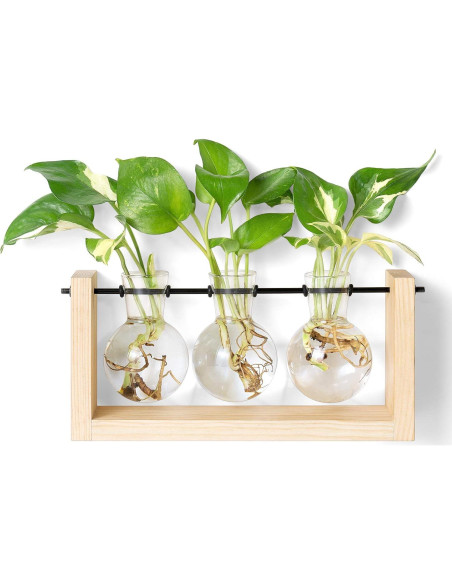 Terrario de Plantas Mkono con Soporte de Madera y 3 Jarrones Terrario de Plantas Mkono con Soporte de Madera y 3 Jarrones