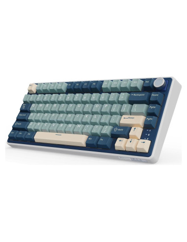 Teclado Mecánico Inalámbrico RK Royal Kludge R75 75% RGB