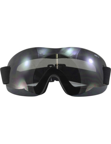 Gafas de motociclismo Birdz Eyewear Starling UV400 - 2 pares