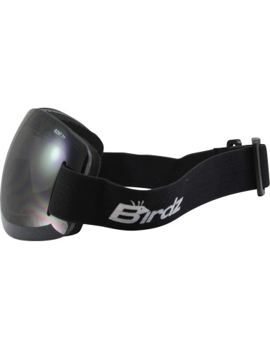 Gafas de motociclismo Birdz Eyewear Starling UV400 - 2 pares