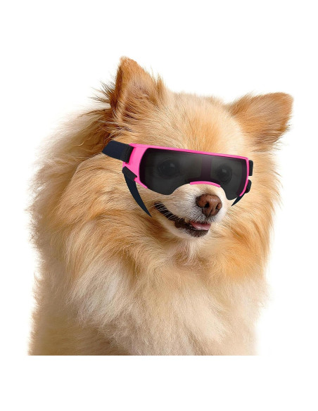 Gafas de Sol para Perros Pequeños Disfrutando - Rosa Gafas de Sol para Perros Pequeños Disfrutando - Rosa