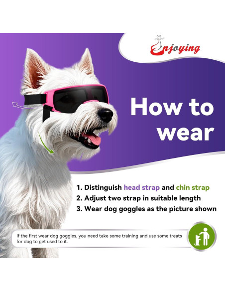 Gafas de Sol para Perros Pequeños Disfrutando - Rosa Gafas de Sol para Perros Pequeños Disfrutando - Rosa
