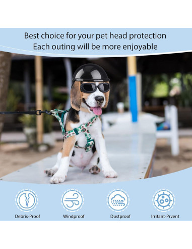 Casco y Gafas para Perros Frienda, Protección UV, Pequeño