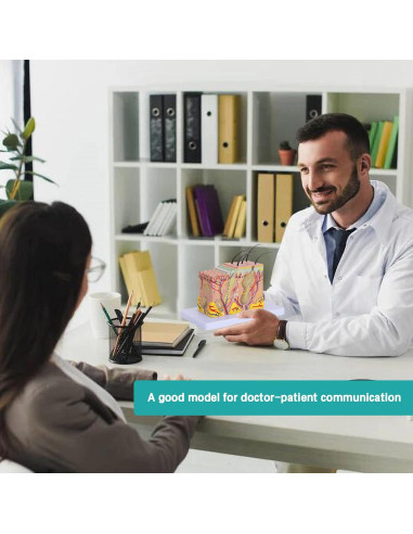 Modelo Anatómico de Piel LVCHEN 35X para Educación Médica
