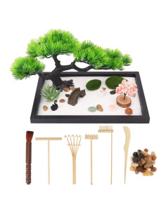 Kit de Mini Jardín Zen Geytetqi con Accesorios para Oficina