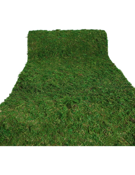 Moss Roll USMOLA 30x152 cm Musgo Seco para Manualidades Moss Roll USMOLA 30x152 cm Musgo Seco para Manualidades
