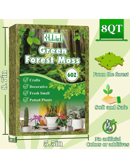 Musgo Verde Natural Halatool 170g para Plantas de Interior Musgo Verde Natural Halatool 170g para Plantas de Interior