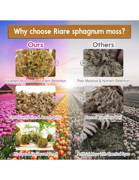 Musgo Sphagnum Premium Riare 150 g - Mezcla para Plantas Musgo Sphagnum Premium Riare 150 g - Mezcla para Plantas