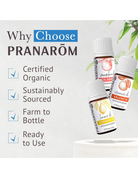 Kit de Aceites Esenciales Pranarom Mediterráneo 3x5ml Orgánico Kit de Aceites Esenciales Pranarom Mediterráneo 3x5ml Orgánico