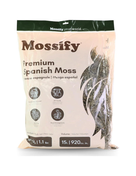 Musgo Español Natural Mossify 75g para Jardinería y Manualidades Musgo Español Natural Mossify 75g para Jardinería y Manualidades