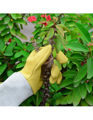 Guantes de Jardinería Supersfel de Cuero para Poda - Pequeño