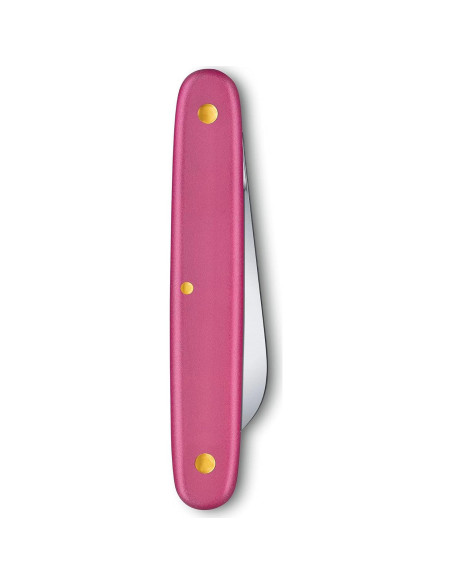 Cuchillo Floral Victorinox Rosa 5.5 cm Hoja Recta Cuchillo Floral Victorinox Rosa 5.5 cm Hoja Recta