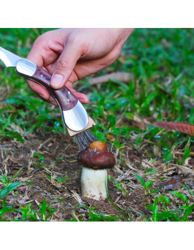 Cuchillo Plegable para Setas Coowolf con Cepillo y Funda