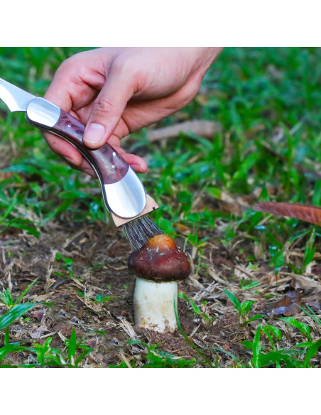 Cuchillo Plegable para Setas Coowolf con Cepillo y Funda Cuchillo Plegable para Setas Coowolf con Cepillo y Funda