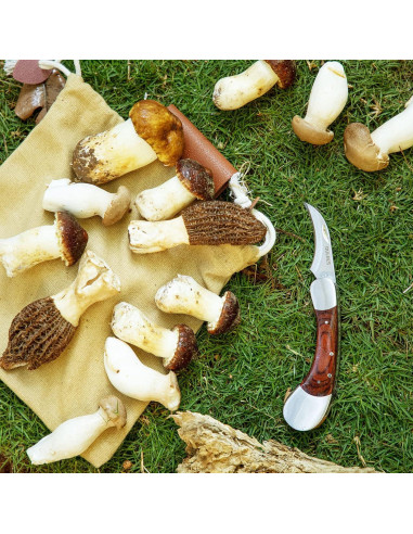 Cuchillo de Champiñones DULEES con Cepillo y Funda 24.1cm