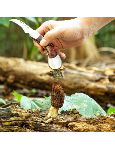 Cuchillo de Champiñones DULEES con Cepillo y Funda 24.1cm
