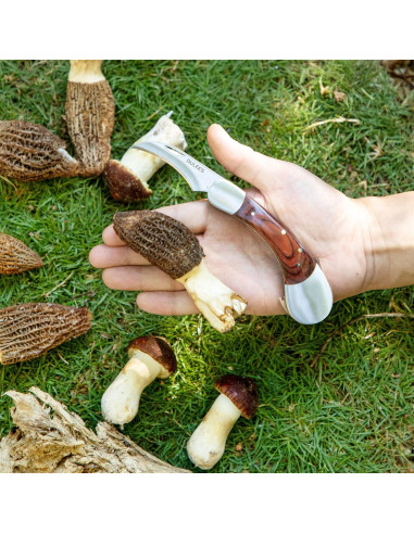 Cuchillo de Champiñones DULEES con Cepillo y Funda 24.1cm