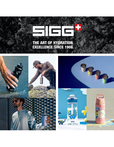 Botella Aislada para Niños SIGG Shield One Rawsome 0.5L