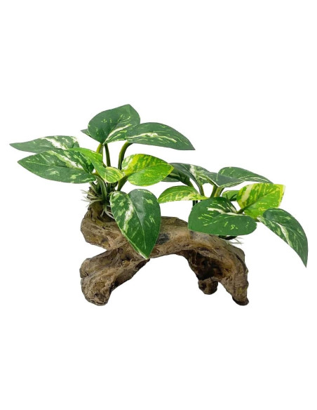 Decoración para Acuarios Smoothedo-Pets Tipo C Ecológica Decoración para Acuarios Smoothedo-Pets Tipo C Ecológica