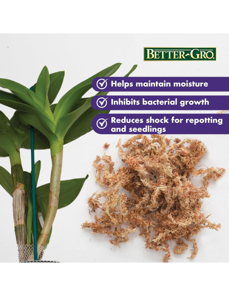 Musgo de Orquídea Mejor-Gro 3.11L Sphagnum Natural Premium Musgo de Orquídea Mejor-Gro 3.11L Sphagnum Natural Premium