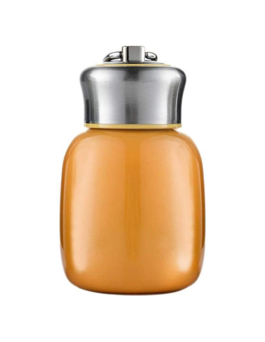 Botella de Agua Aislada Redson 200ml Naranja para Niños