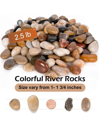 Rocas Decorativas Pulidas GASPRO 1.13kg para Jardines y Macetas