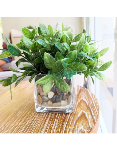 Rocas Decorativas Pulidas GASPRO 1.13kg para Jardines y Macetas