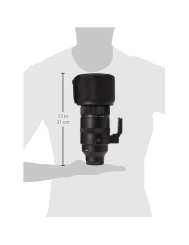 Lente Sigma 150-600mm F5-6.3 DG DN para Sony E