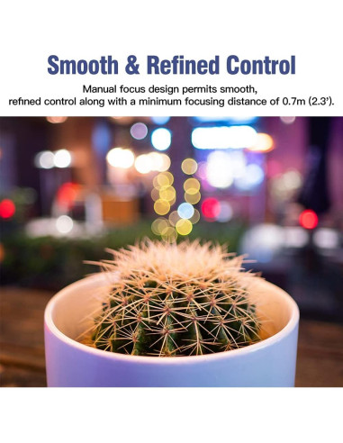 Lente Gran Angular TTArtisan 21mm F1.5 Plata para Leica M