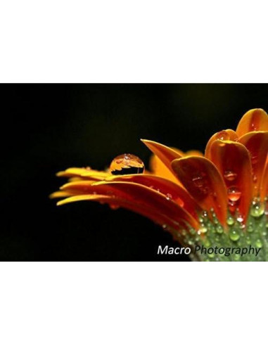 Lente Gran Angular 0.43x 62mm 67mm 72mm con Macro OPTURA