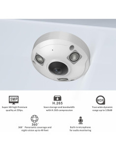 Cámara Fisheye IP POE 5MP Inwerang 360 Visión Nocturna 2