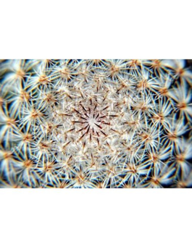 Filtro Macro Close Up 10x Vivitar para Nikon 80-200mm