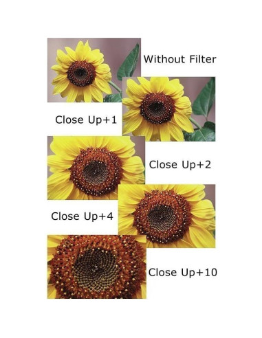 Juego de Filtros 67mm 7PC Big Mike's para Canon EOS