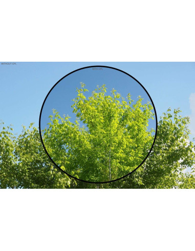 Kit de Filtros de 3 Piezas Digital Nc para Ricoh GR III