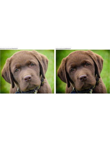 Kit de Filtros de 3 Piezas Digital Nc para Ricoh GR III